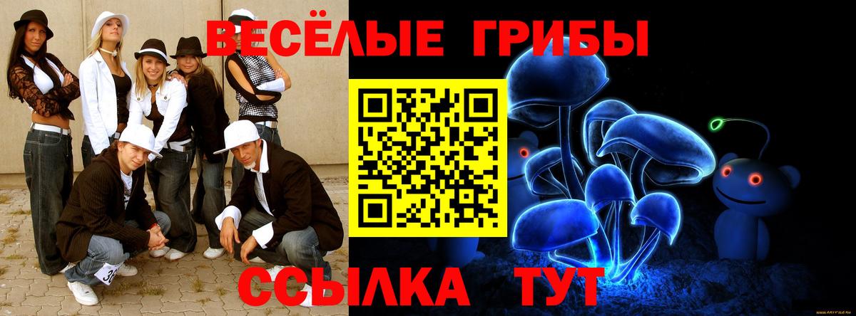 Каменск-Шахтинский  Псилоцибиновые грибы мицелий  Вход с VPN 