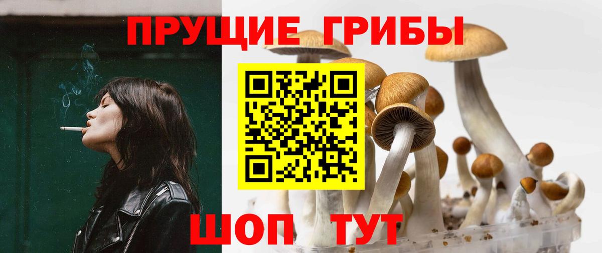 Галлюциногенные грибы GOLDEN TEACHER Каменск-Шахтинский
